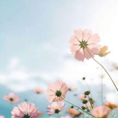 微信头像意境唯美风景图片大全