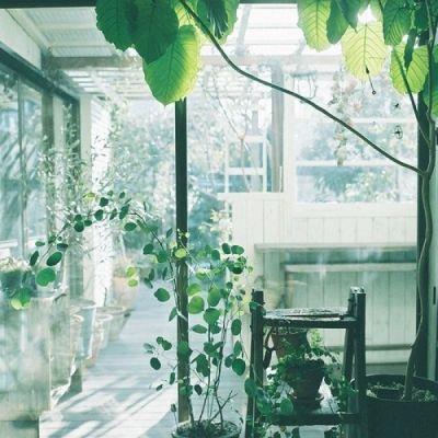 微信头像意境唯美风景图片大全