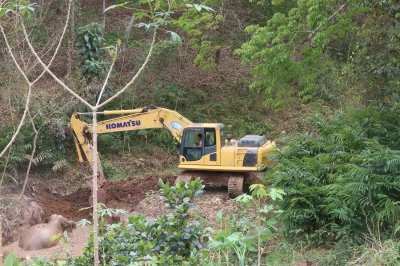 ​神兵天降！野生亚洲象坠坑，象与人接力救援