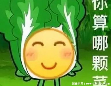 ​小趴菜是什么意思，调侃人能力弱一喝就倒(四川贵州等地的方言)