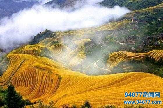 桂林龙脊梯田,世界梯田之最,景象简直是人间一大奇观