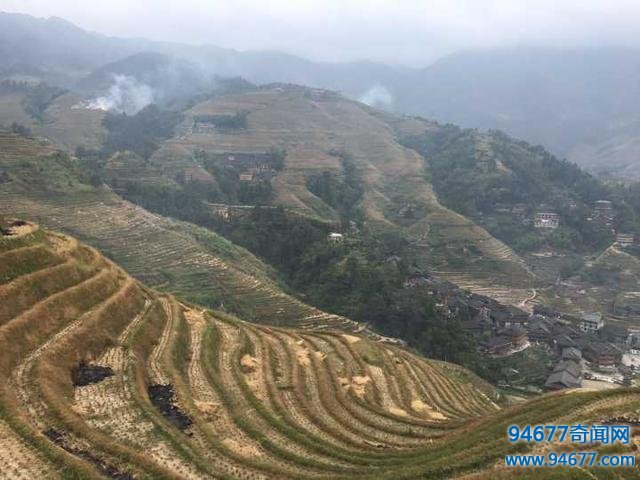桂林龙脊梯田,世界梯田之最,景象简直是人间一大奇观