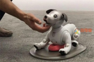 ​索狗是什么意思？索狗是什么梗？