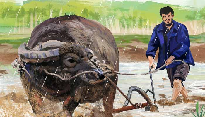 节约粮食的名言 节约粮食的名言名句 