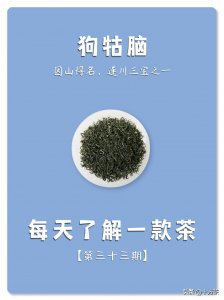 ​每天了解一款茶，第三十三期，狗牯脑