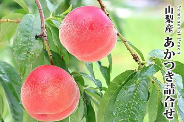 日本软枝水蜜桃（日本高糖蜜桃）(8)