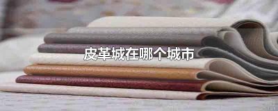 ​皮革城在哪个城市