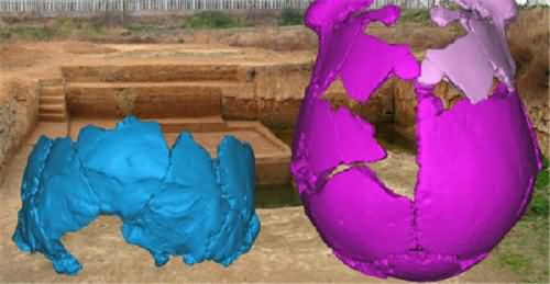 河南发现人类化石 河南发现人类化石