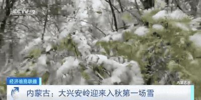​大兴安岭入秋第一场雪，来了！一起看秋日雪景图