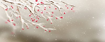 ​立冬的意思是什么意思 立冬有什么意思