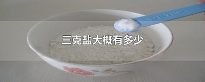 ​三克盐大概有多少