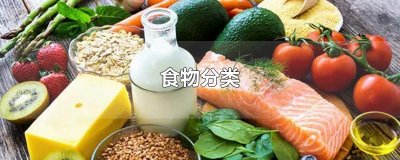​食物分类