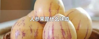 ​人参果是什么味道