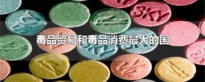 ​毒品贸易和毒品消费最大的国家是
