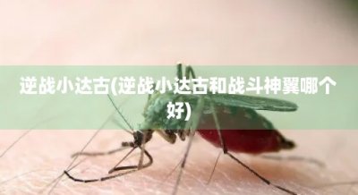 ​逆战小达古(逆战小达古和战斗神翼哪个好)