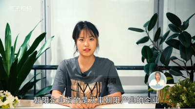 ​朝阳企业是什么意思