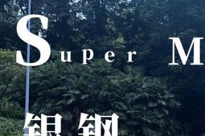 ​银钢supermini坐高测评