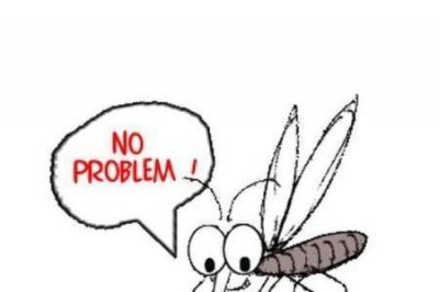 ​ab型血为什么招蚊子