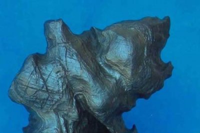 ​海阔凭鱼跃鲲鹏展宏图的寓意