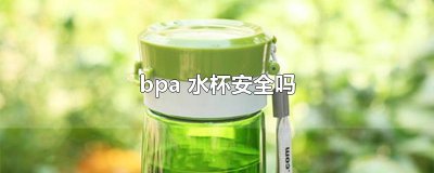 ​bpa 水杯安全吗