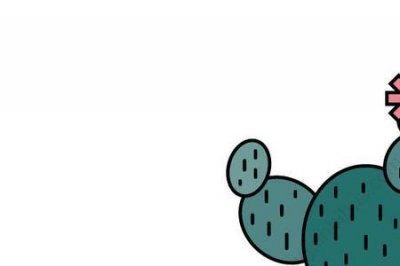 ​喜欢仙人掌的女孩性格