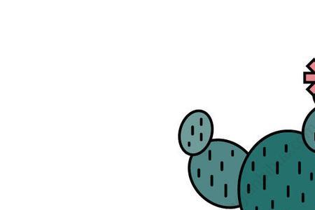 喜欢仙人掌的女孩性格