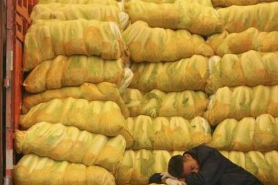 ​搬运工累还是工地累