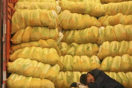 搬运工累还是工地累