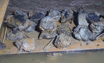 ​这里发现 2000 多年前的粽子！