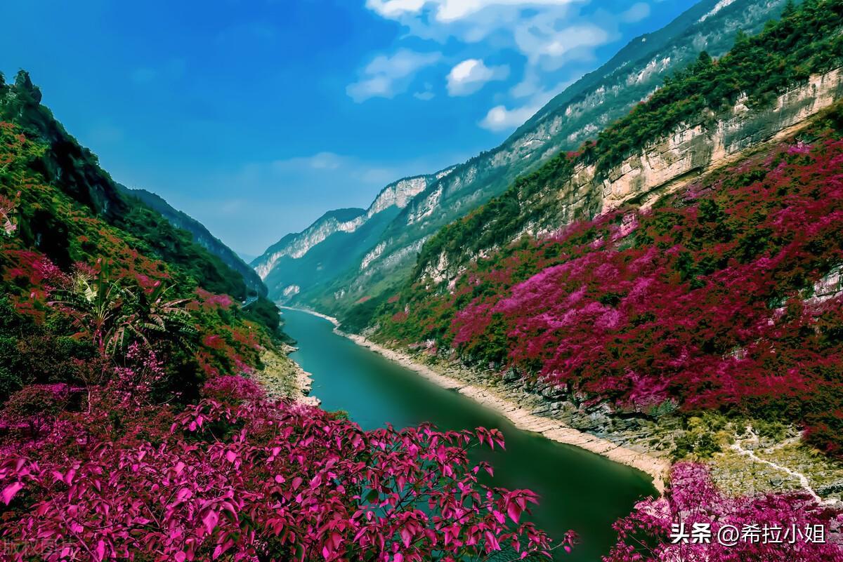 武隆旅游景点有哪些(武隆旅游攻略必去景点推荐)