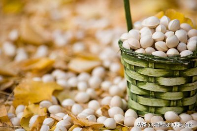 ​银杏果到底怎么吃？牢记4点，吃得安心，方法简单又实用