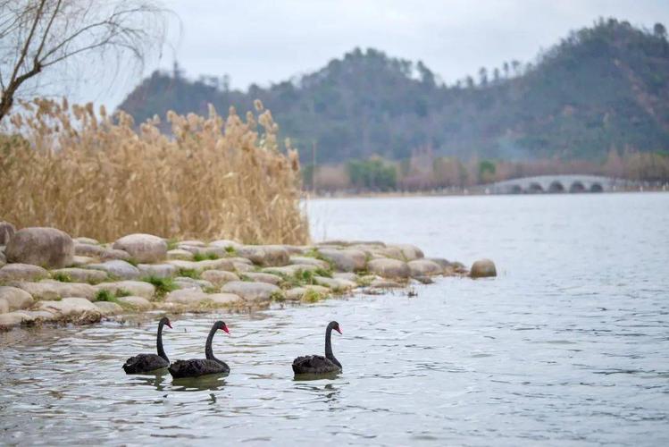 三、千灵湖小西海