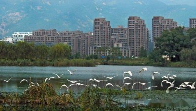 ​千灵山风景区游玩攻略