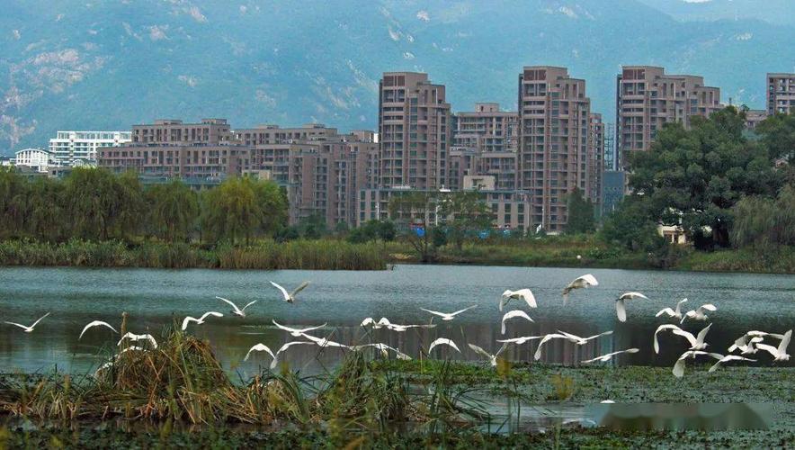 一、千灵湖景区