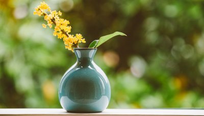 ​中国叫china的由来