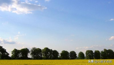 ​离境造句和解释_离境的例句有哪些 - 小孩子点读