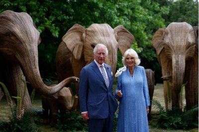 ​国王也扛不住通胀！英王查理三世考虑开放更多白金汉宫区域创收