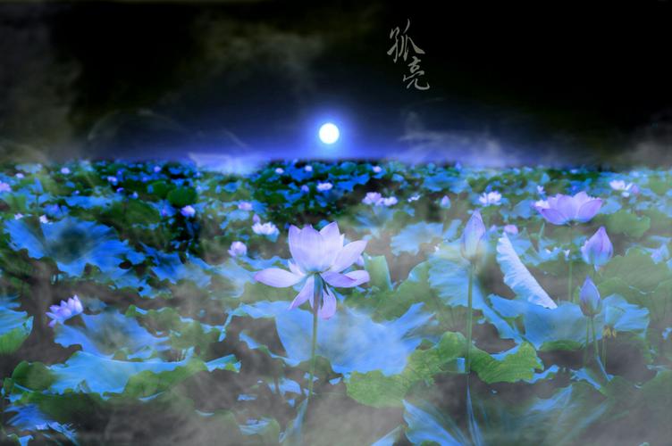 5.荷塘月下以及亭台楼阁；