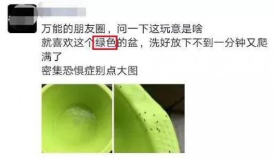 ​近期注意！少穿黄绿色衣服出门