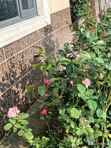 ​昨晚上十点半接到老公打来的电话，我再也睡不着了