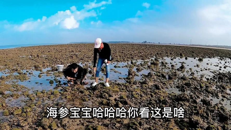 3、湛江——湛江大亚湾→湛江徐闻大裂谷→湛江新圩岛/遂溪大田村+汕尾陆丰南澳岛/汕头沙头