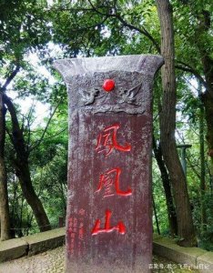 ​河西附近露营地方推荐