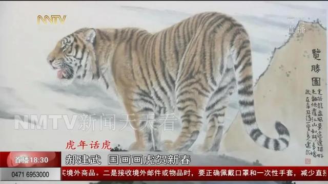 国画艺术虎的画法（国画高手教你画虎）(8)