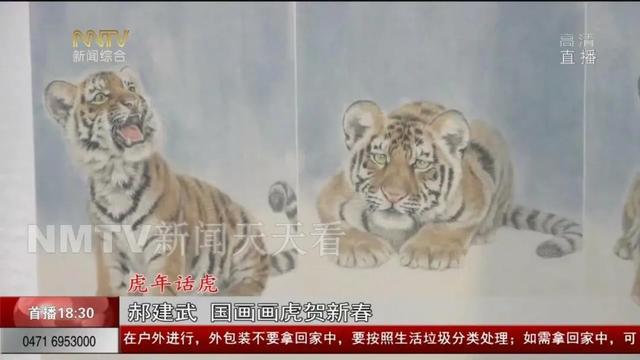 国画艺术虎的画法（国画高手教你画虎）(9)