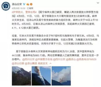 ​四川凉山森林大火事件始末（凉山这几起森林火案告破）