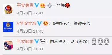 四川凉山森林大火事件始末（凉山这几起森林火案告破）(7)