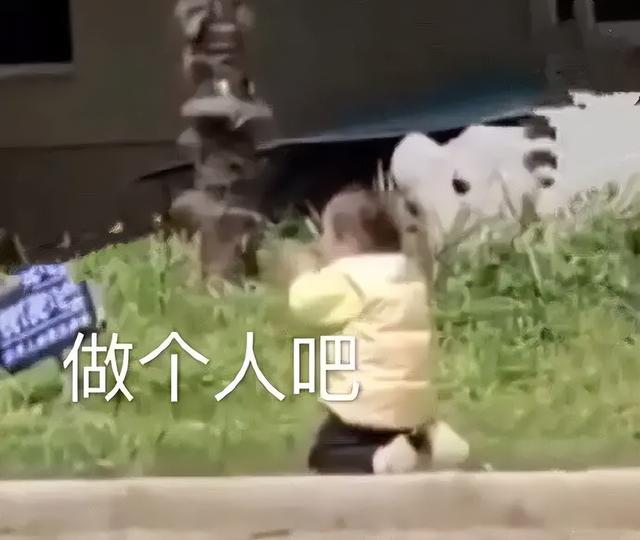 抖音8个神评（抖音10w赞的热评能有多好笑）(65)