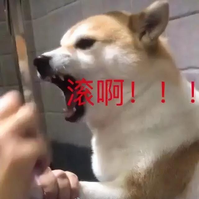 抖音8个神评（抖音10w赞的热评能有多好笑）(28)