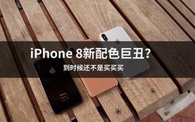 ​干枯玫瑰腮红试色（又出腮红金）