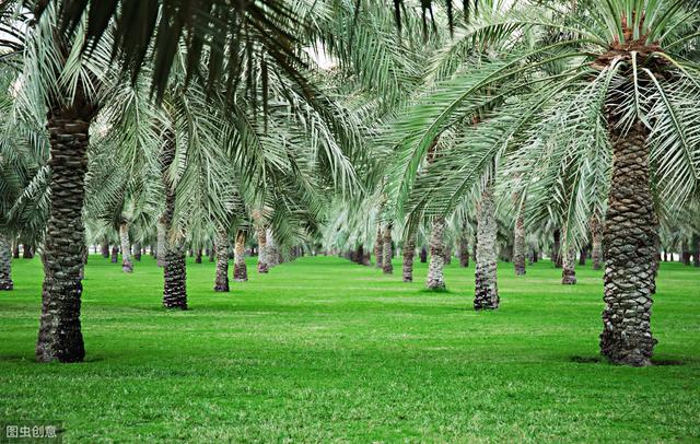 复活节岛为什么有那些巨大的雕像(揭秘复活岛的雕像之谜)(8)